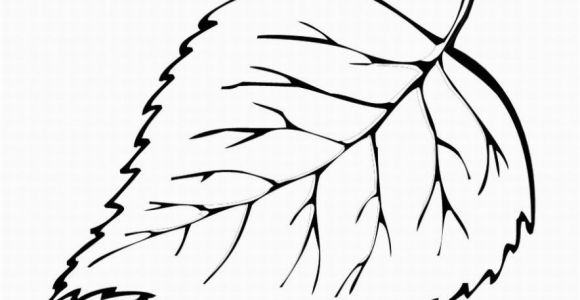 Large Fall Leaves Coloring Pages Free Printable Leaf Coloring Pages for Kids
