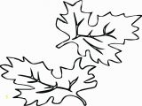 Large Fall Leaves Coloring Pages Small Leaves to Color Size Fall Leaf Coloring Pages Amazing