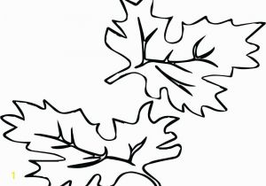 Large Fall Leaves Coloring Pages Small Leaves to Color Size Fall Leaf Coloring Pages Amazing