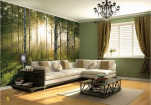 Large forest Wall Mural forest at Sunrise Vinyl Wall Mural Decal Digital