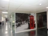 Large format Wall Murals British Telephone Wall Mural