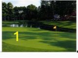 Large Golf Wall Murals 32 Best Golf Murals Images