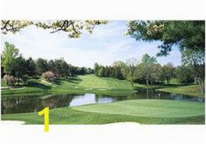 Large Golf Wall Murals 32 Best Golf Murals Images