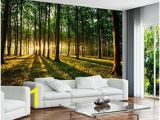 Large Mural Prints 46 Best Wall Mural Images