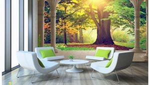 Large Wall Murals for Sale High End Custom 3d Wall Murals Wallpaper Beauty Roman Column Woods