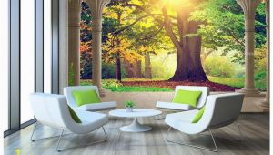 Large Wall Murals for Sale High End Custom 3d Wall Murals Wallpaper Beauty Roman Column Woods