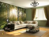 Large Wallpaper Feature Wall Murals forest at Sunrise Vinyl Wall Mural Decal Digital