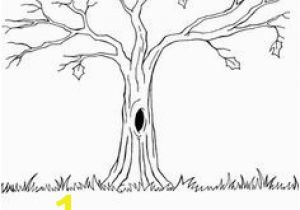 Leafless Tree Coloring Page 52 Best Trees Coloring Sheets Images