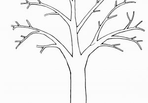 Leafless Tree Coloring Page Tree Printable Template Elitasushi