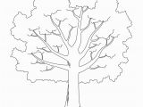 Leafless Tree Coloring Page Tree Printable Template Elitasushi