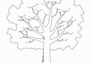 Leafless Tree Coloring Page Tree Printable Template Elitasushi