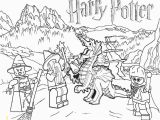 Lego Harry Potter Coloring Pages to Print Kleurplaat Lego Harry Potter 28 Afbeeldingen