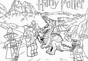 Lego Harry Potter Coloring Pages to Print Kleurplaat Lego Harry Potter 28 Afbeeldingen