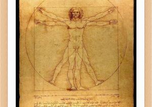 Leonardo Da Vinci Wall Murals Amazon Alonline Art the Vitruvian Man Leonardo Da