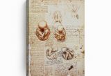 Leonardo Da Vinci Wall Murals the Foetus In the Womb Stu S by Leonardo Da Vinci Wall Art Canvas Prints