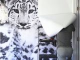 Leopard Print Wall Mural Snow Leopard Wallpaper Mural Diy