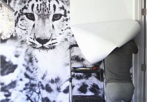 Leopard Print Wall Mural Snow Leopard Wallpaper Mural Diy