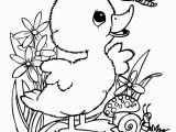 Leprechaun Face Coloring Page 30 Coloring Pages A Duck