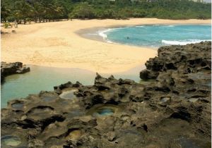 Lighthouse Cove Wall Mural Mar Chiquita Cove & Cueva De Las Golondrianas In Puerto Rico Wall Mural Vinyl