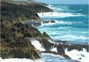 Lighthouse Cove Wall Mural Wall Mural Vinyl Mar Chiquita Cove & Cueva De Las Golondrianas In Puerto Rico