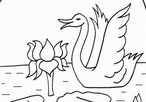 Lily Pad Coloring Page Free New Lily Pad Coloring Sheet Design