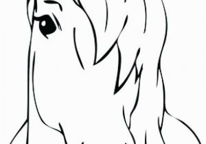 Lion Head Coloring Pages Horse Head Coloring Page Head Coloring Page Blank Face