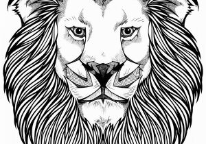 Lion Head Coloring Pages Lion Free Clipart 110