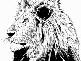 Lion Head Coloring Pages Lion Free Clipart 110