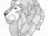 Lion Head Coloring Pages Stock Vector