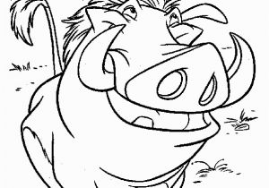 Lion King Printable Coloring Pages Lion King Timon and Pumbaa Coloring Page Mit Bildern