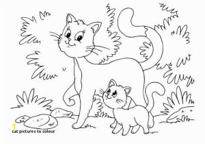 Litten Coloring Pages Cat to Colour Kitten Color Pages Elegant Kitty Cat Coloring