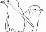 Little Blue Penguin Coloring Page 22 Best Preschool Penguins Images On Pinterest