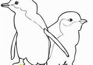 Little Blue Penguin Coloring Page 22 Best Preschool Penguins Images On Pinterest