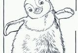 Little Blue Penguin Coloring Page 22 Penguin Coloring Pages