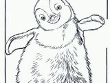 Little Blue Penguin Coloring Page 22 Penguin Coloring Pages