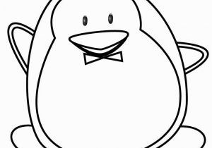 Little Blue Penguin Coloring Page 22 Penguin Coloring Pages