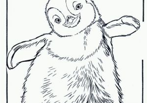 Little Blue Penguin Coloring Page 22 Penguin Coloring Pages