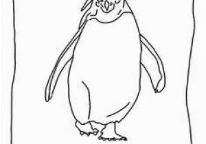 Little Blue Penguin Coloring Page 60 Best Penguin Images On Pinterest