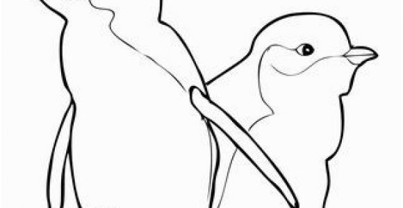 Little Blue Penguin Coloring Page Two Little Blue Penguins Coloring Page