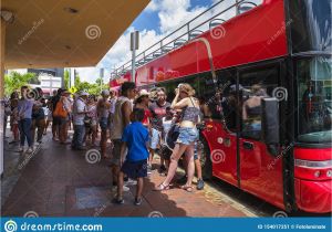 Little Havana Wall Mural Address Little Havana Cityscape Editorial Photo Image Of Latino