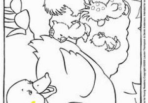 Little Quack Coloring Pages 172 Best Coloring Birds Images