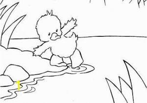 Little Quack Coloring Pages 93 Best Quack Images On Pinterest