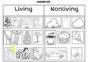 Living and Nonliving Things Coloring Pages 128 Best School Images On Pinterest