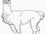 Llama Llama Holiday Drama Coloring Pages 21 Llama Llama Holiday Drama Coloring Pages