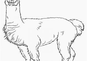 Llama Llama Holiday Drama Coloring Pages 21 Llama Llama Holiday Drama Coloring Pages