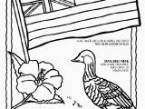 Luau themed Coloring Pages Flower Border Coloring Pages Luau themed Coloring Pages Fresh 0d