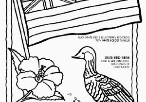 Luau themed Coloring Pages Flower Border Coloring Pages Luau themed Coloring Pages Fresh 0d