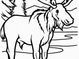 Lumberjack Coloring Pages Moose Coloring Pages 12 S Fly Coloring Page