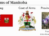 Manitoba Flag Coloring Page Manitoba