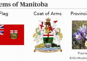 Manitoba Flag Coloring Page Manitoba